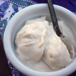 New Project Roundup... Making Yogurt