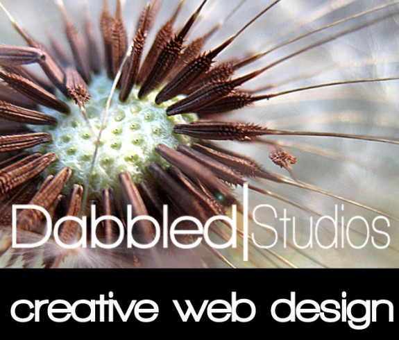 Dabbled Studios Wed Design
