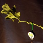 Halloween Craft: Spooky Tree for $1