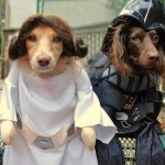 Halloween Costumes, Part 2... Creative Couples Costumes