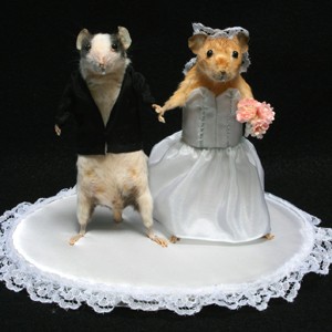 taxidermy mice- copyright paxtongate.com