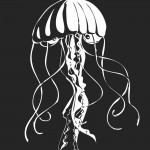 Gelatinous Zooplankton (aka Jellyfish!)