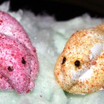 Make your own Peeps!