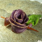 Make Roses... for everything!