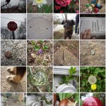 Fun with Kids: How to do a photo safari