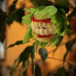 Creepy Houseplants, and H'ween Roundup