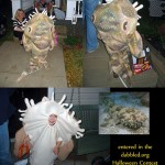 Halloween Feature - Wobbegong Shark Costume