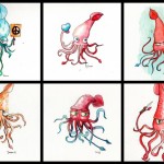 Cephalopod Week - It's the octopus' turn!