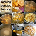 Day 1: Lemon Week - Candied Lemon Slices