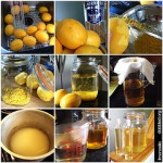 Making Limoncello on dabbled.org