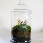 Moss Terrarium Tutorial - The Gift that Keeps Giving All Year 'Round!