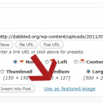 Wordpress: Adding Featured Image support to your theme