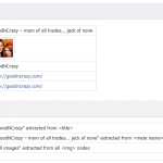 goodncrazy.com-linter
